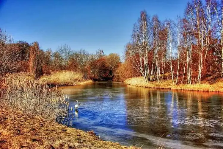 Gifhorn