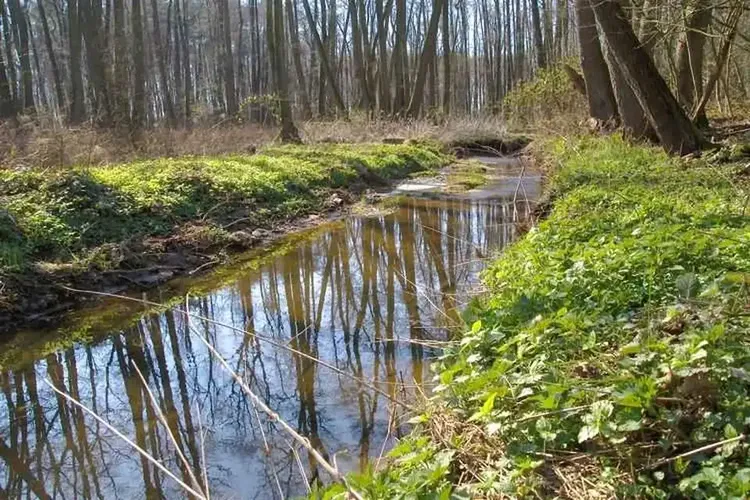 Wildeshausen